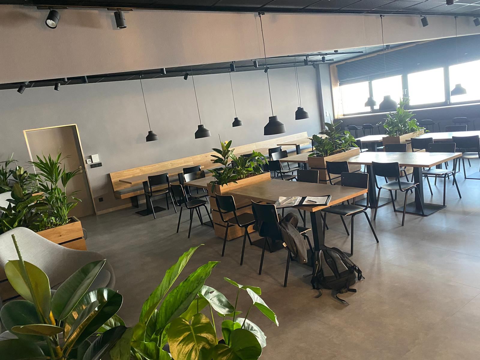 Kantine mit Tischen und Pflanzen auf einem Vinylboden in Betonoptik